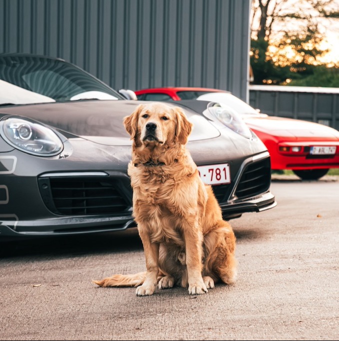 Gallery gallery_images_4_2_17796434851516646185.jpg  | Carrera Sport Classics