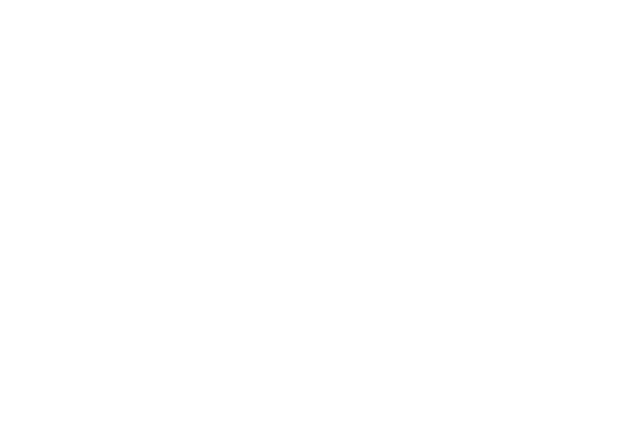 Header Logo 1 | Carrera Sport Classics